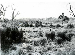A study of the land in the Catchment of Gippsland Lakes - Vol 2 - land system Sandy - image
