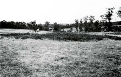 A study of the land in the Catchment of Gippsland Lakes - Vol 2 - land system Stockdale- image