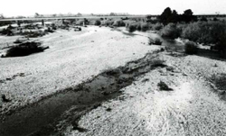 A study of the land in the Catchment of Gippsland Lakes - Vol 2 - land system Stratford- image