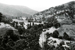 A study of the land in the Catchment of Gippsland Lakes - Vol 2 - land system Talbotville- image