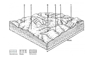 A study of the land in the Catchment of Gippsland Lakes - Vol 2 - land system Tambo- cs