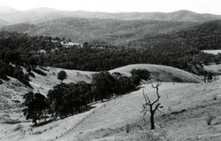 A study of the land in the Catchment of Gippsland Lakes - Vol 2 - land system Tambo- image