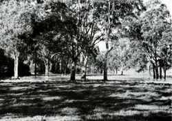 A study of the land in the Catchment of Gippsland Lakes - Vol 2 - land system Thomson- image