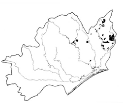 A study of the land in the Catchment of Gippsland Lakes - Vol 2 - land system Timbarra- geo