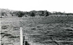 A study of the land in the Catchment of Gippsland Lakes - Vol 2 - land system Trafalgar- image