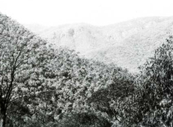 A study of the land in the Catchment of Gippsland Lakes - Vol 2 - land system Turton- image