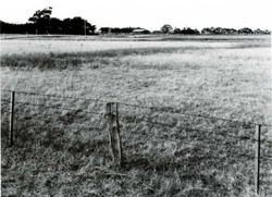 A study of the land in the Catchment of Gippsland Lakes - Vol 2 - land system Valencia- image