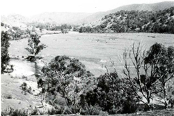 A study of the land in the Catchment of Gippsland Lakes - Vol 2 - land system Walnut- image
