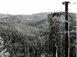 A study of the land in the Catchment of Gippsland Lakes - Vol 2 - land system Wellington- image