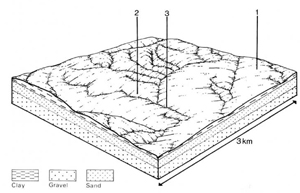 A study of the land in the Catchment of Gippsland Lakes - Vol 2 - land system Westbury1- cs