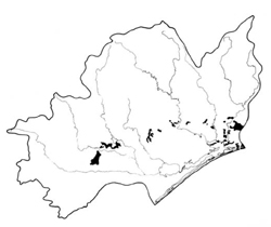 A study of the land in the Catchment of Gippsland Lakes - Vol 2 - land system Westbury1- geo