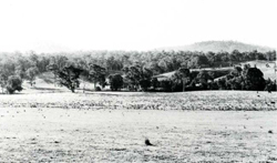 A study of the land in the Catchment of Gippsland Lakes - Vol 2 - land system Westbury1- image