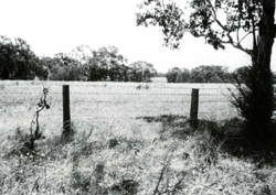 A study of the land in the Catchment of Gippsland Lakes - Vol 2 - land system Westbury2- image
