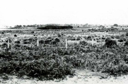 A study of the land in the Catchment of Gippsland Lakes - Vol 2 - land system Wollaston- image