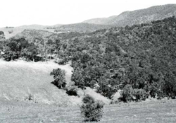 A study of the land in the Catchment of Gippsland Lakes - Vol 2 - land system Wonnangatta- image