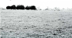 A study of the land in the Catchment of Gippsland Lakes - Vol 2 - land system Yinnar- image
