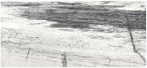Plate 29 - The Hamilton basalt has been dissected in parts to depths of up to two hundred feet to form the Branxholme land-system.