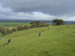 Image:  Monachie Ararat