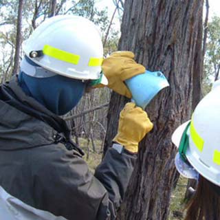Hair Tube being used in Ararat Hills Mop