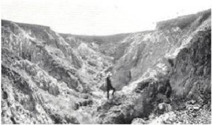 Plate 25 - Severe gullying is often found in the drainage lines of the Casterton land-system especially in the soils of the Whyte series, underlain by unconsolidated sediments