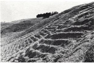 Plate 26 and 26A - In the Casterton land-system, the soils are prone to mass movement on steep slopes.  (The two most common forms are earth -flows, known locally as 