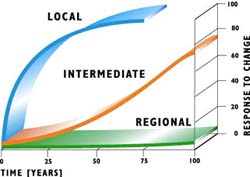 GRAPH: Catchment Characterization Numerical Model
