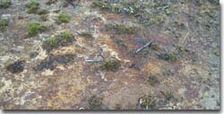 PHOTO: Closeup of Discharge area in eastern Dundas Tablelands
