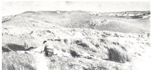 Discovery Bay land system - the Tarragal land-unit