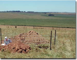 Photo: Site GL168 Landscape