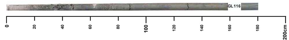 Soil pit GL116 auger