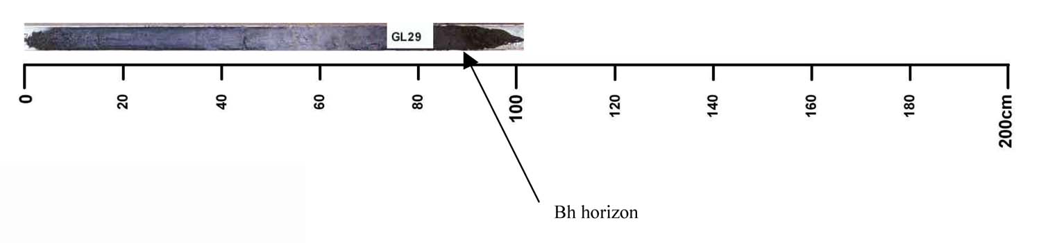 Soil pit GL29 auger