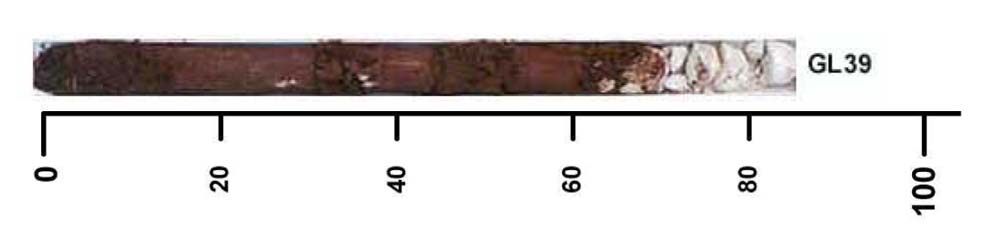 Soil pit GL39 auger