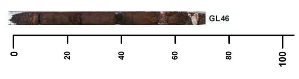 Soil pit GL46 auger