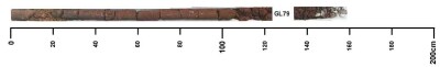 Soil pit GL79 auger