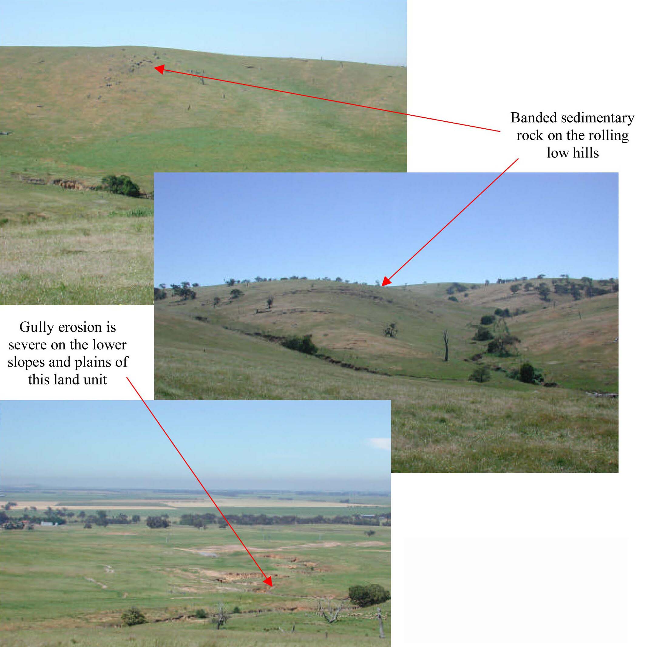 Glenelg Land Resource Assessment - Land Unit System - Ararat marine siltstone