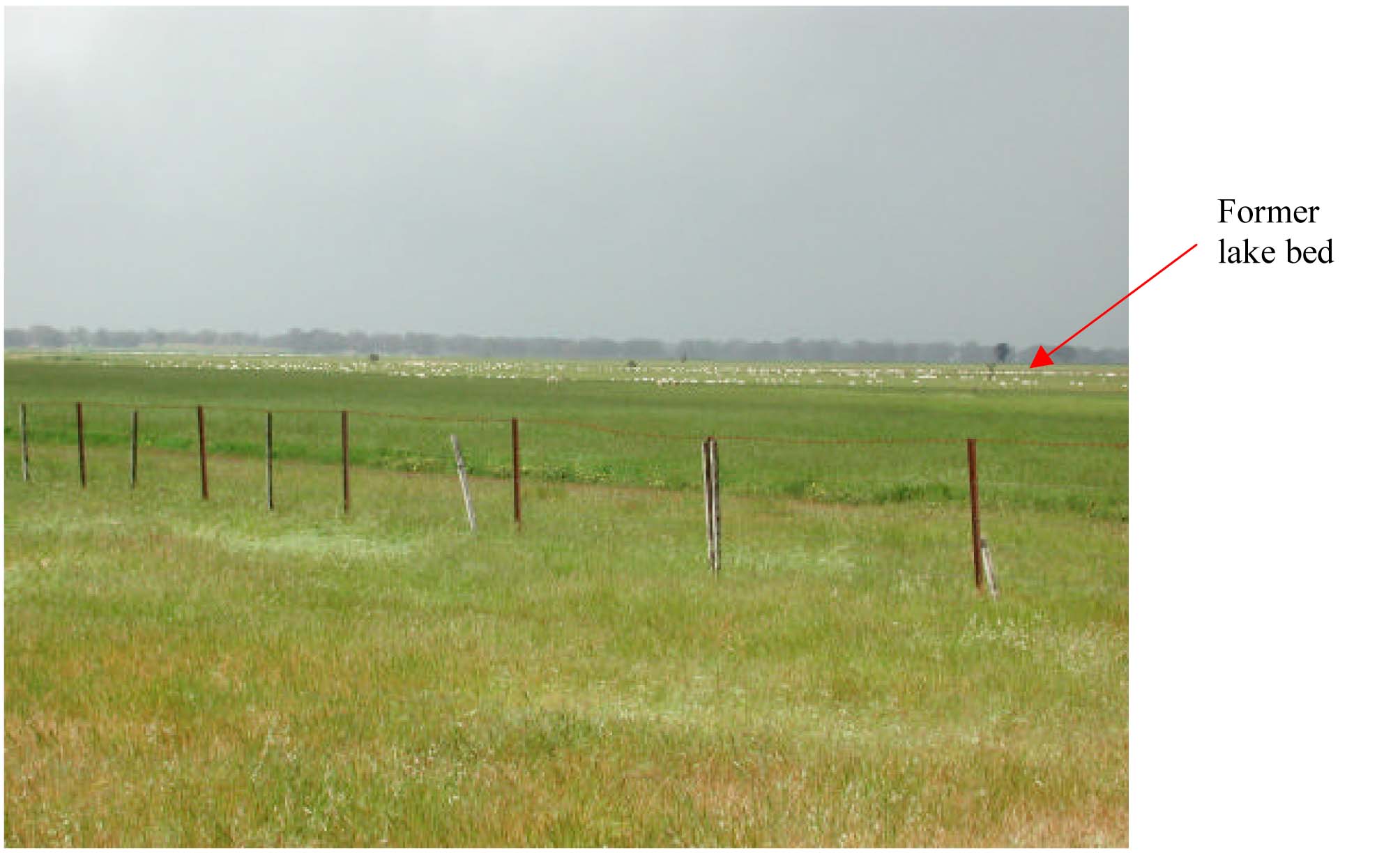 Glenelg Land Resource Assessment - Land Unit System - Former lake beds