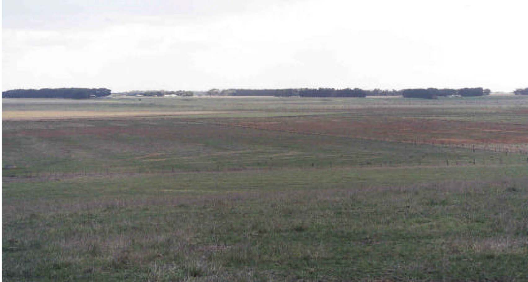 Glenelg Land Resource Assessment - Land Unit System - Marl Kororoit marl mepunga