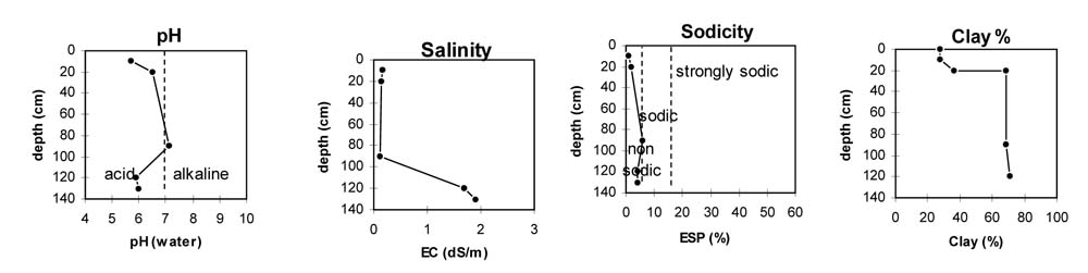 Soil pit PVI 11 graphs