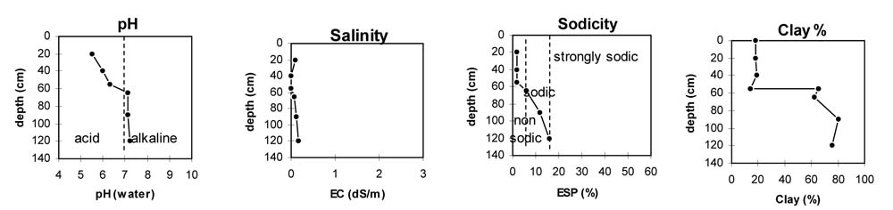Soil pit PVI 2 graphs
