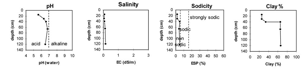 Soil pit PVI 3 graphs