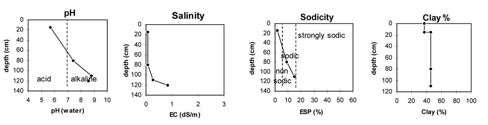 Soil pit PVI 4 graphs