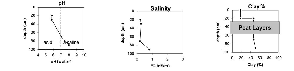 Soil pit PVI 5 graphs