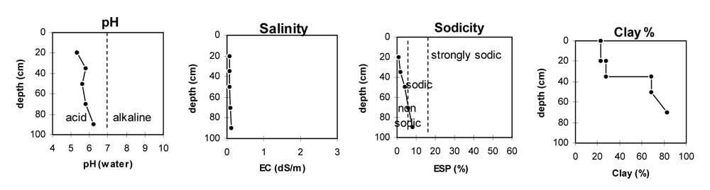 Soil pit PVI 6 graphs