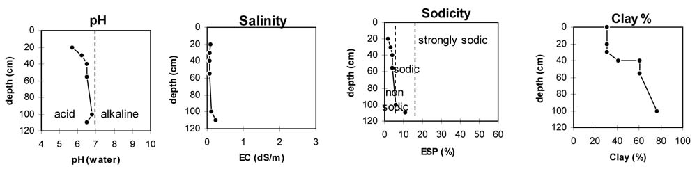 Soil pit PVI 7 graphs