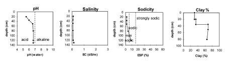 Soil pit PVI 8 graphs
