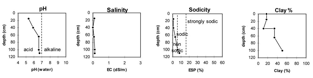 Soil pit PVI 9 graphs