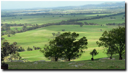 Photo: View over the Ararat region