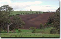 Photo: Cultivated land near Gritjurk