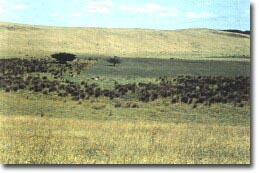 Image: Eruption Point, Lake Wangoom