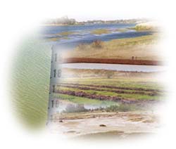 Photo: Land and Water Management